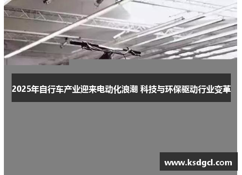 2025年自行车产业迎来电动化浪潮 科技与环保驱动行业变革